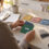 Strategic Credit Card Roles for Everyday Financial Growth